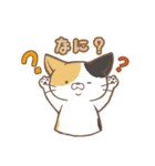 ほんわか猫さん -日本語-（個別スタンプ：25）