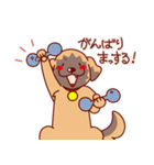 もちはる（個別スタンプ：12）