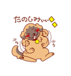 もちはる（個別スタンプ：16）