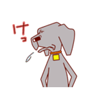 もちはる（個別スタンプ：31）