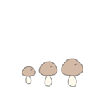 Mushrooms life（個別スタンプ：1）