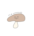 Mushrooms life（個別スタンプ：17）