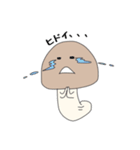 Mushrooms life（個別スタンプ：29）