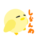 丸鶏さん（個別スタンプ：16）