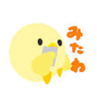 丸鶏さん（個別スタンプ：31）