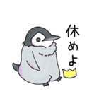 無表情なペンギン（個別スタンプ：19）