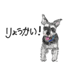 Miniature Schnauzer - by Berry（個別スタンプ：4）