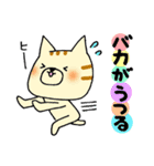 猫便り12 〜バカスペシャル〜（個別スタンプ：38）