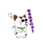 オリにゃん（個別スタンプ：1）