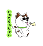 オリにゃん（個別スタンプ：5）