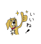 陽気なサリー！（個別スタンプ：9）