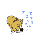陽気なサリー！（個別スタンプ：16）