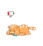 YoYo Cat（個別スタンプ：5）