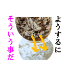 【実写】牛丼（個別スタンプ：3）