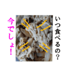 【実写】牛丼（個別スタンプ：17）