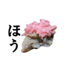 【実写】牛丼（個別スタンプ：36）
