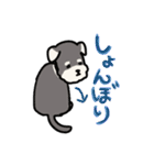 かわいいわんこたちのスタンプ（個別スタンプ：13）