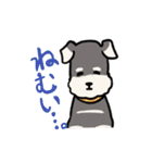 かわいいわんこたちのスタンプ（個別スタンプ：16）