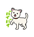 かわいいわんこたちのスタンプ（個別スタンプ：17）