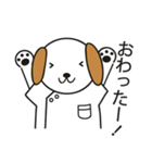 くま、うさぎ、女の子、レーサー、犬（個別スタンプ：19）