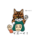 ネコシバ（個別スタンプ：5）