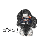 Miniature Schnauzer - by Cookie（個別スタンプ：3）