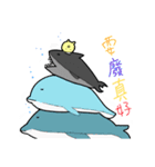 homebody's cute pet（個別スタンプ：34）