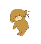 トイプードルのまっ茶くん（個別スタンプ：1）