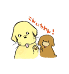 トイプードルのまっ茶くん（個別スタンプ：4）
