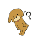 トイプードルのまっ茶くん（個別スタンプ：14）