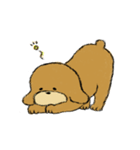 トイプードルのまっ茶くん（個別スタンプ：21）