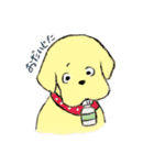トイプードルのまっ茶くん（個別スタンプ：22）