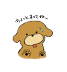 トイプードルのまっ茶くん（個別スタンプ：24）