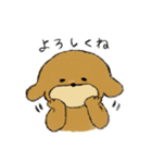 トイプードルのまっ茶くん（個別スタンプ：32）