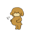 トイプードルのまっ茶くん（個別スタンプ：37）
