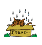 ボールくんと猫のトラ（個別スタンプ：38）