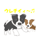 『犬バカSTAMP』（個別スタンプ：21）