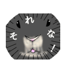 モナカです（黒ウサギ）（個別スタンプ：11）