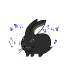 モナカです（黒ウサギ）（個別スタンプ：12）