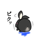 モナカです（黒ウサギ）（個別スタンプ：14）