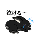 モナカです（黒ウサギ）（個別スタンプ：17）