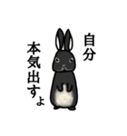 モナカです（黒ウサギ）（個別スタンプ：24）