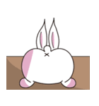 PP yellowish rabbit（個別スタンプ：16）
