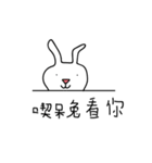 Eat stay rabbit（個別スタンプ：37）