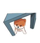 pommy dog（個別スタンプ：17）