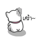 Latte Lovely Dog（個別スタンプ：13）