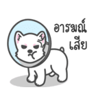 Latte Lovely Dog（個別スタンプ：25）