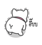 Latte Lovely Dog（個別スタンプ：26）