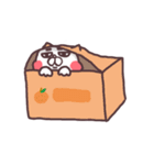 A CAT.（個別スタンプ：32）