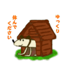 無印犬のスタンプ（個別スタンプ：13）